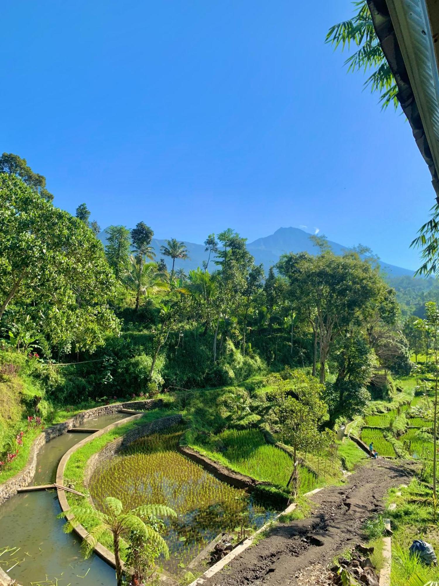 The Alam Tetebatu Bungalow & Restaurant Exterior photo