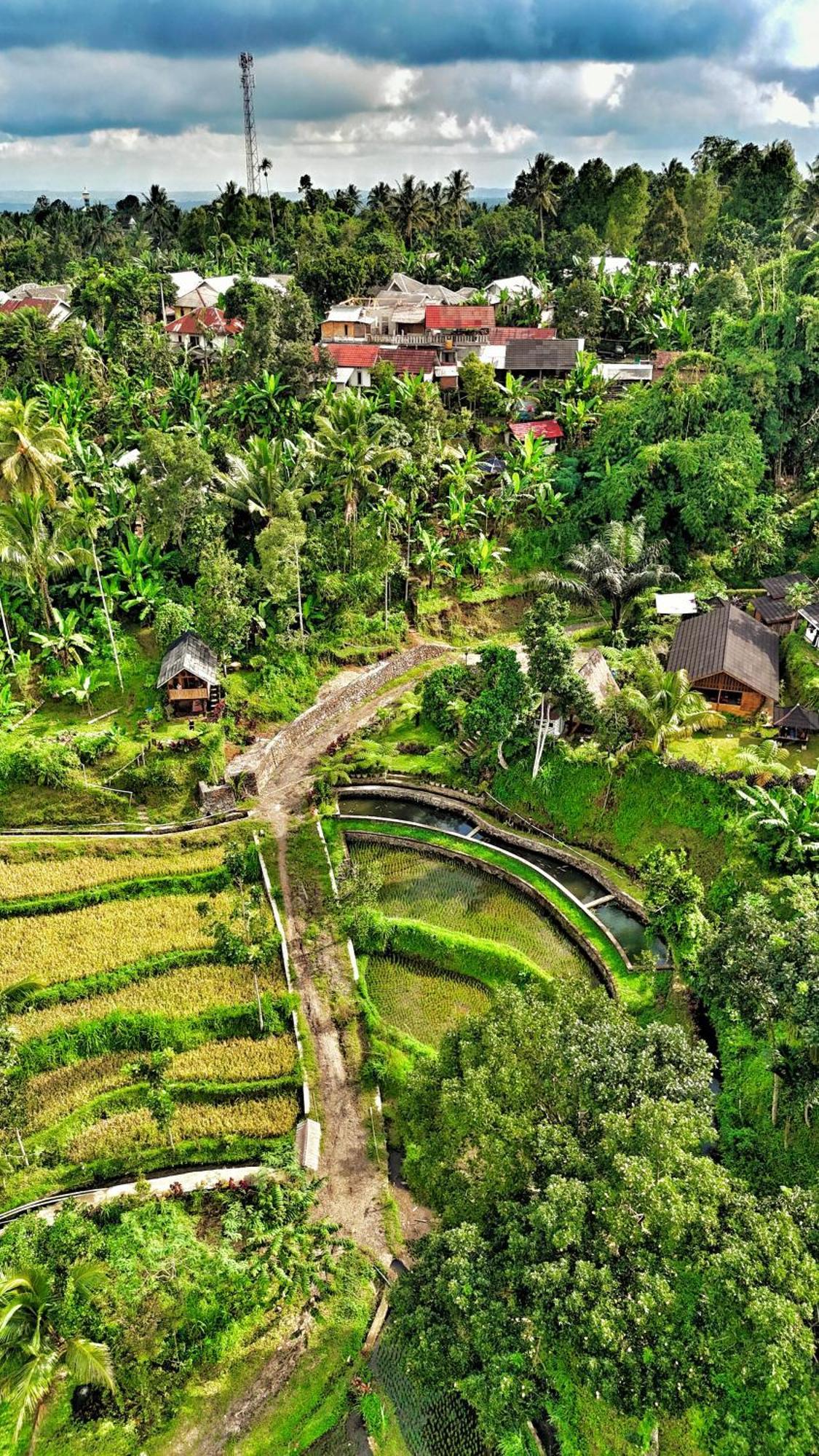 The Alam Tetebatu Bungalow & Restaurant Exterior photo